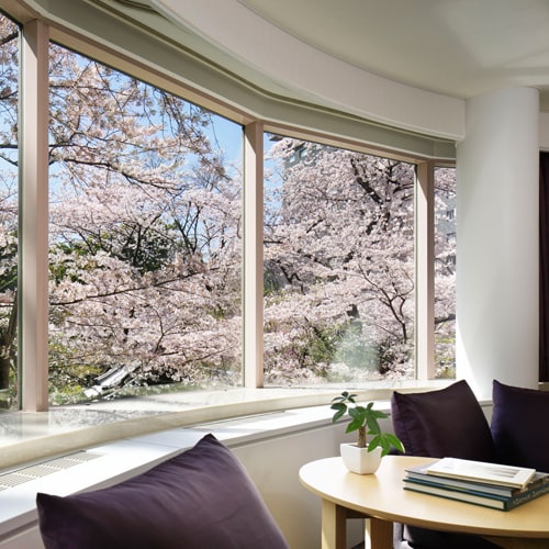 Pemandangan bunga sakura dari Junior Suite Twin (* Tampilannya bervariasi tergantung waktu mekarnya bunga sakura dan kamar tamu.)