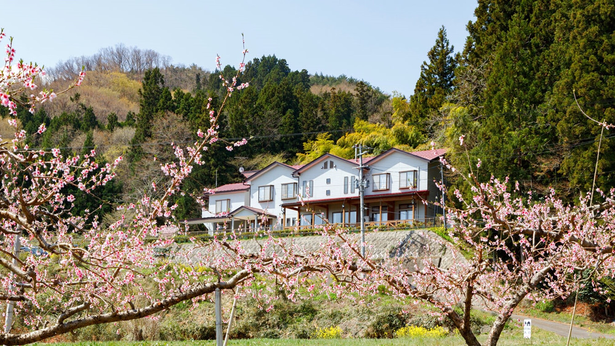 *Exterior/Spring scenery
