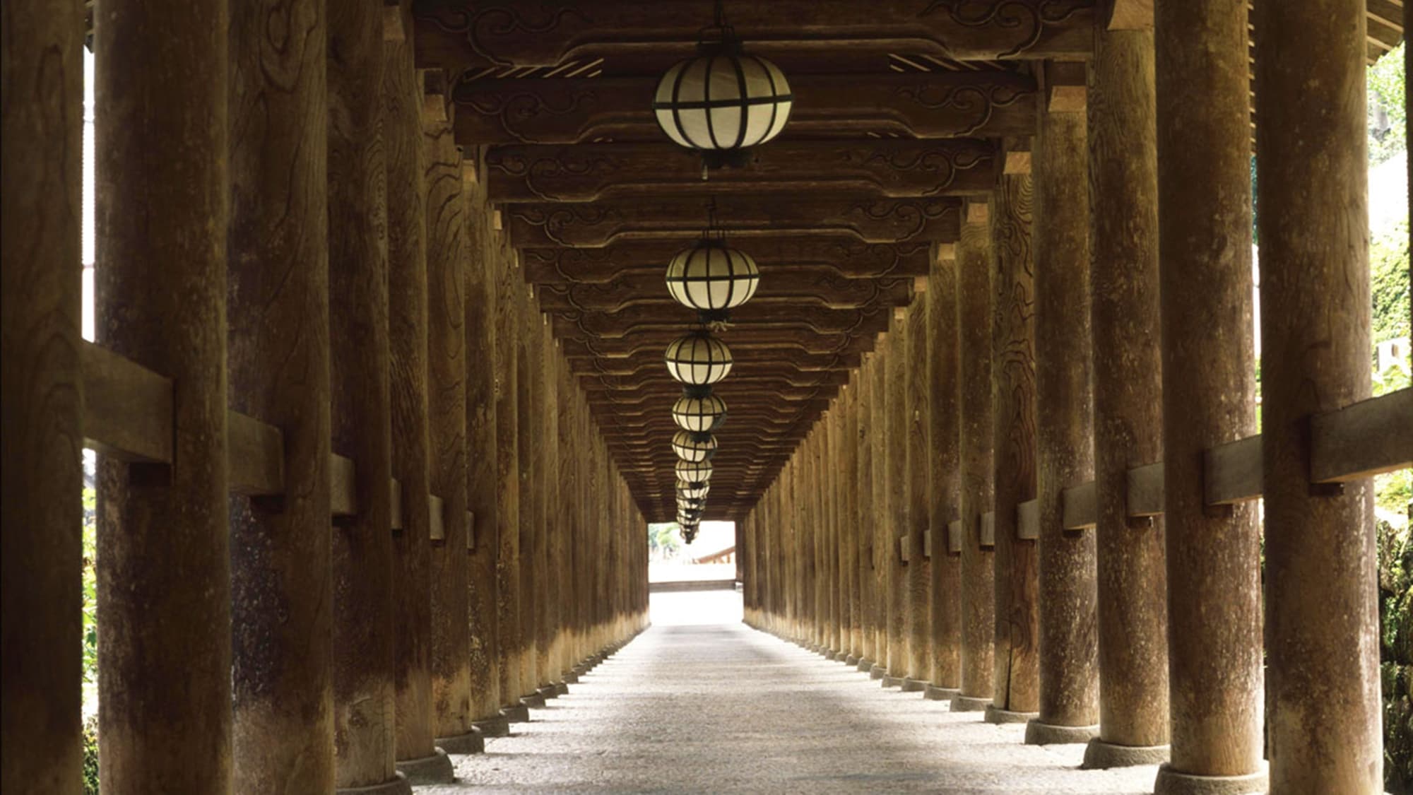 * [Corridor of Hase-dera, Nara] At the important cultural property "Noborirou", elegant Hase-shaped lanterns are hung.