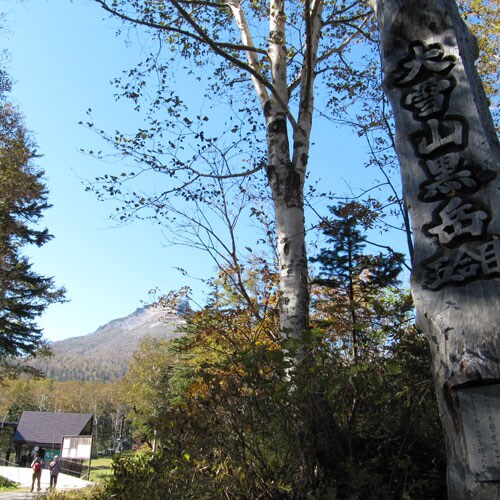 *週邊觀光/大雪山連峰黑岳第五合目。