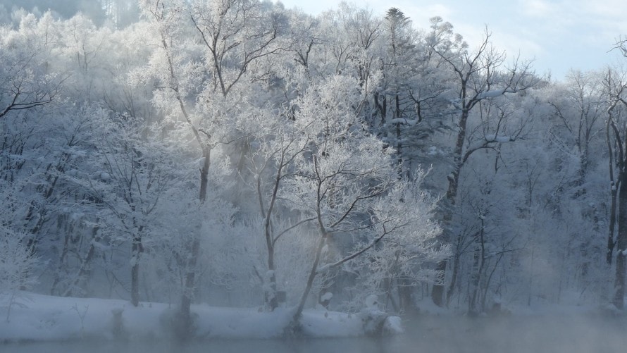 Juhyo (frost-covered trees): A beautiful sight with pure white trees shining against the blue sky.