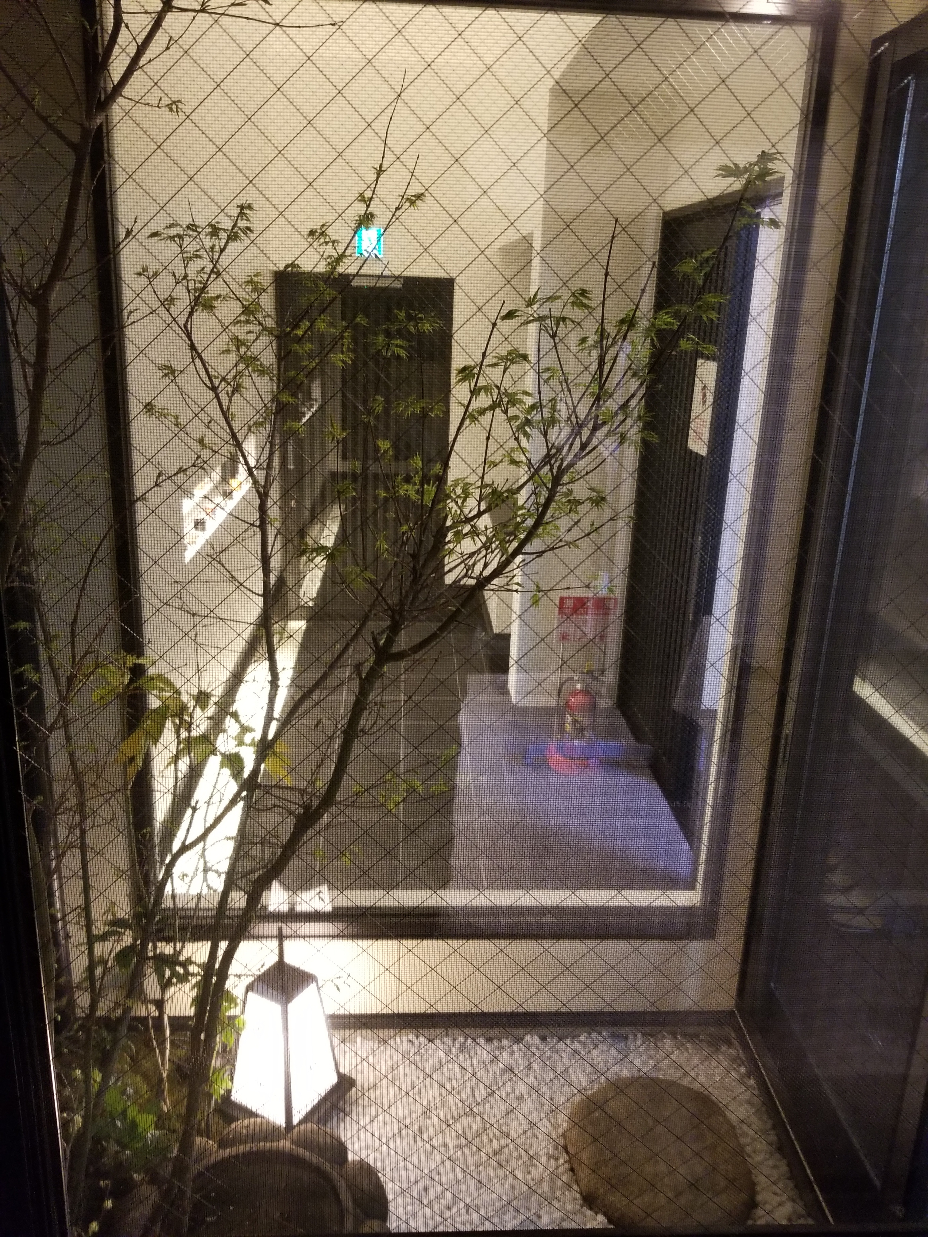 Small garden and entrance space