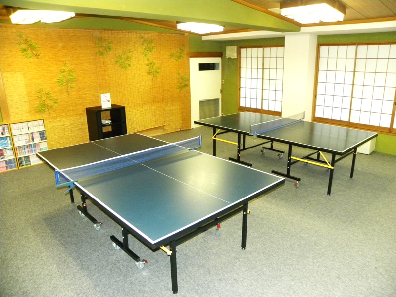 Ping Pong Table