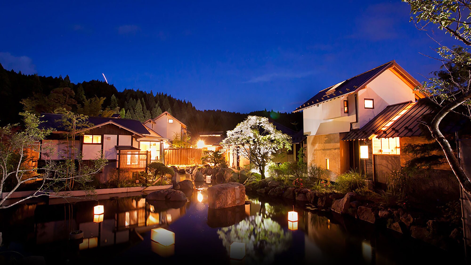 Fantastic at night