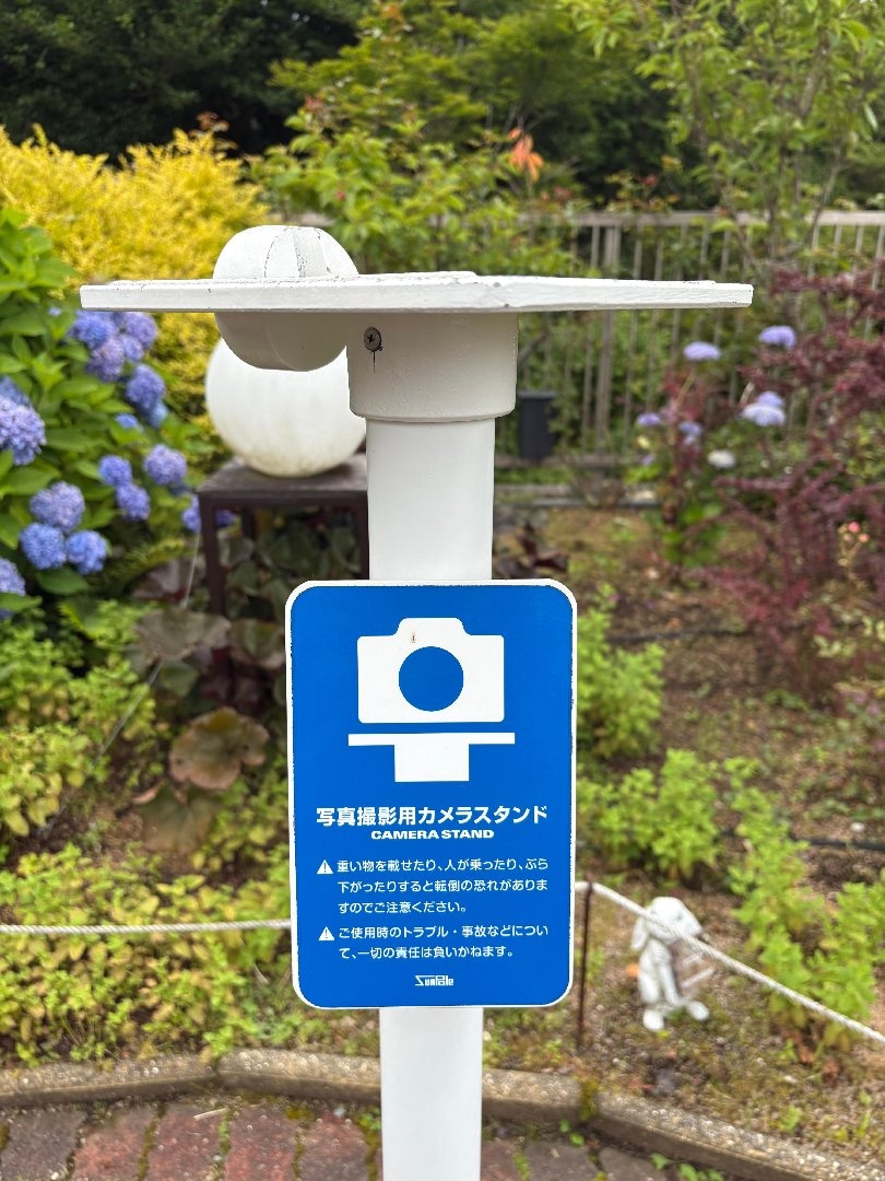 6E456D57-6D98-478D-9CDA-E780345DEE87.jpeg