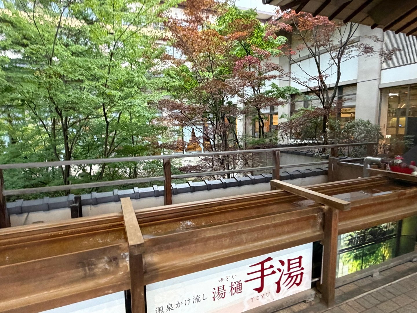 1623B45A-A5F0-405C-A7BA-7CC840D44F91.jpeg