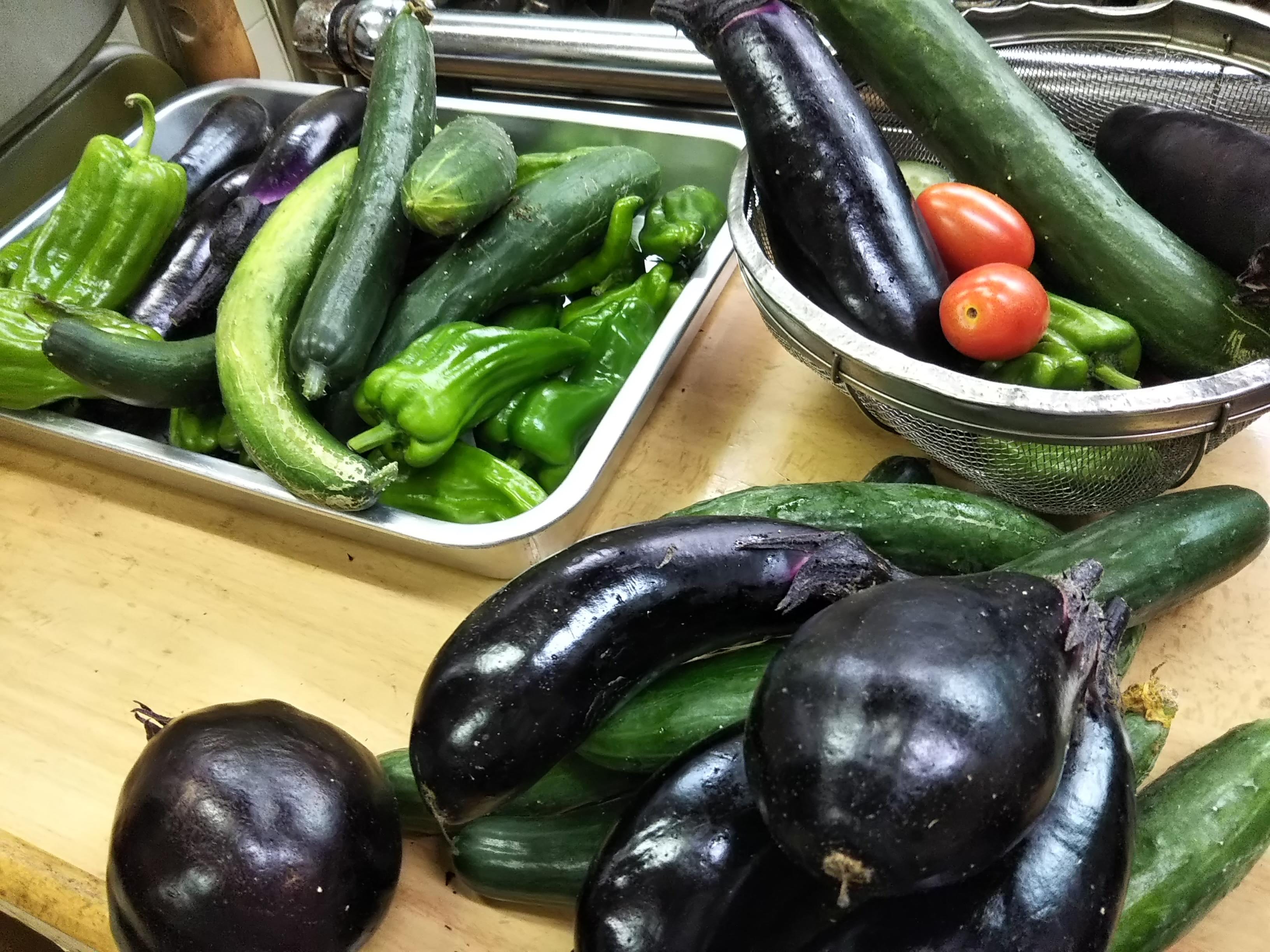 Home-grown organic vegetables