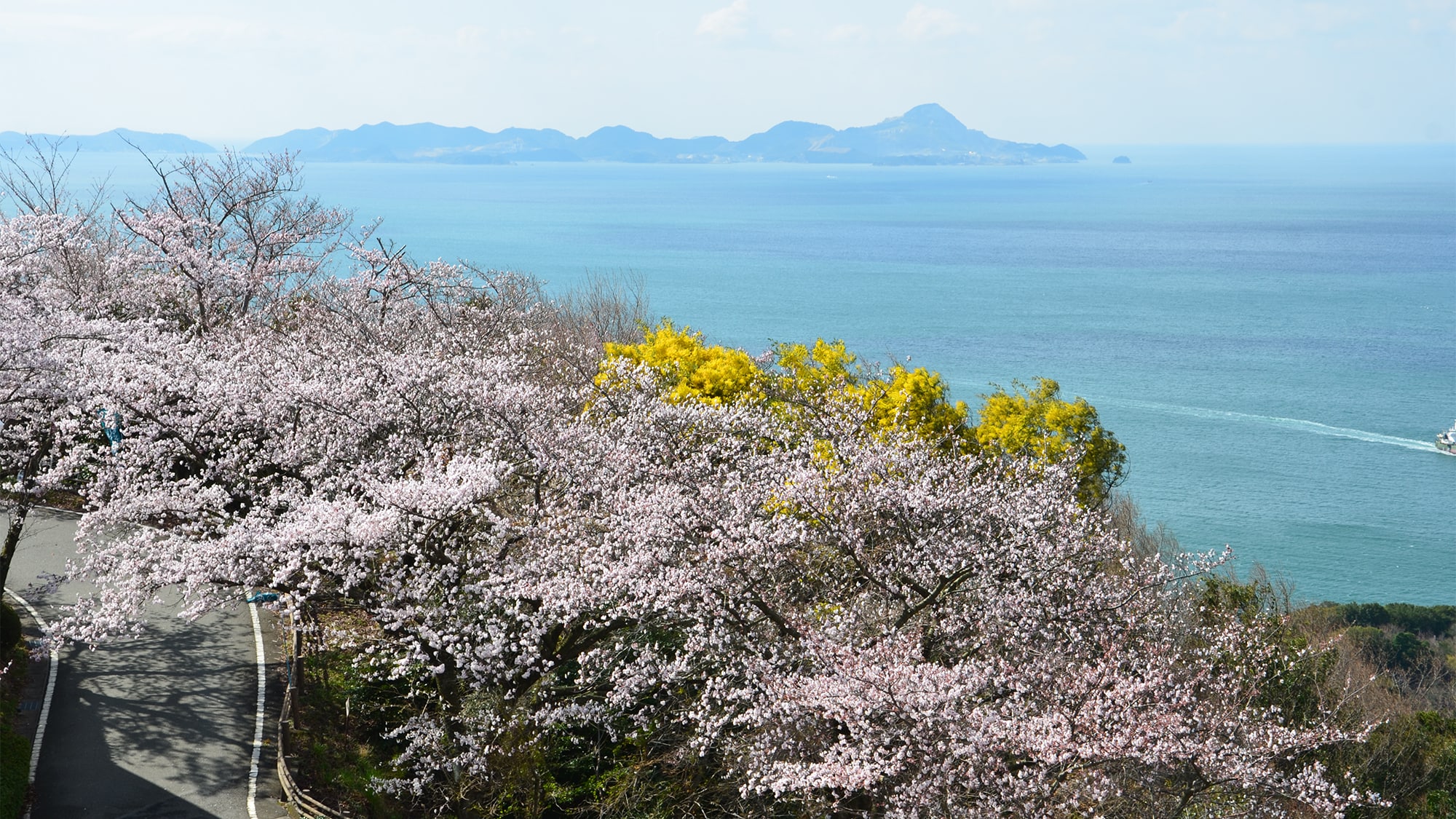Manyo Spring Scenery