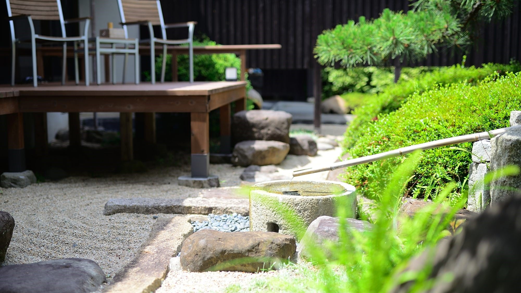 德室｜花園