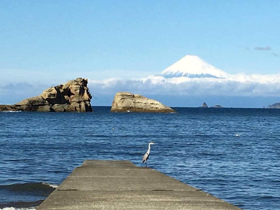Declaration that Mt. Fuji looks the most beautiful in the world