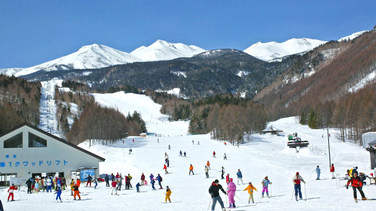 為自己或家人享受各種課程