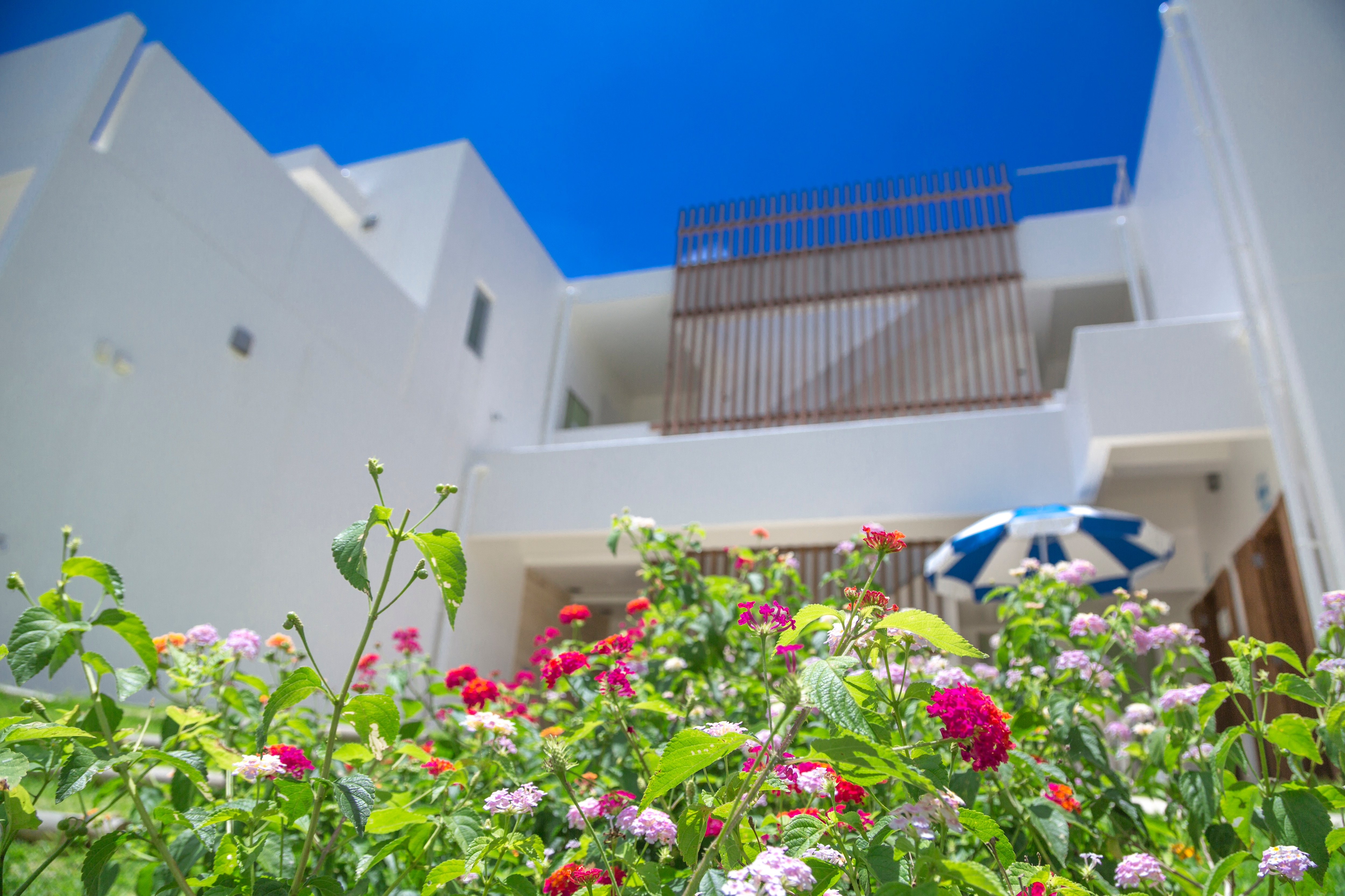 Entrance-Seven Colors Ishigaki Island and 7 colors of flowers-
