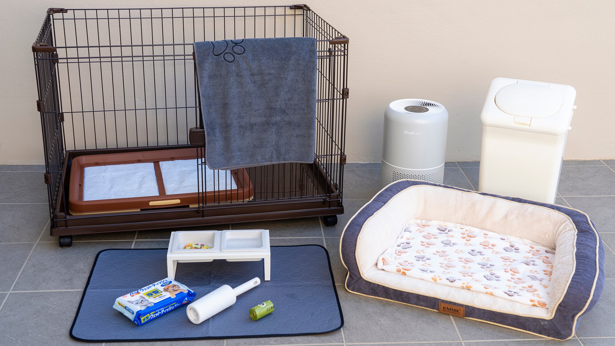 [旅行时带上你的狗]可携带宠物的房间住宿计划含早餐的客房服务