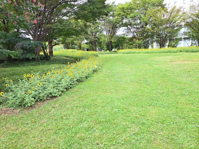a20260904_111621.jpg