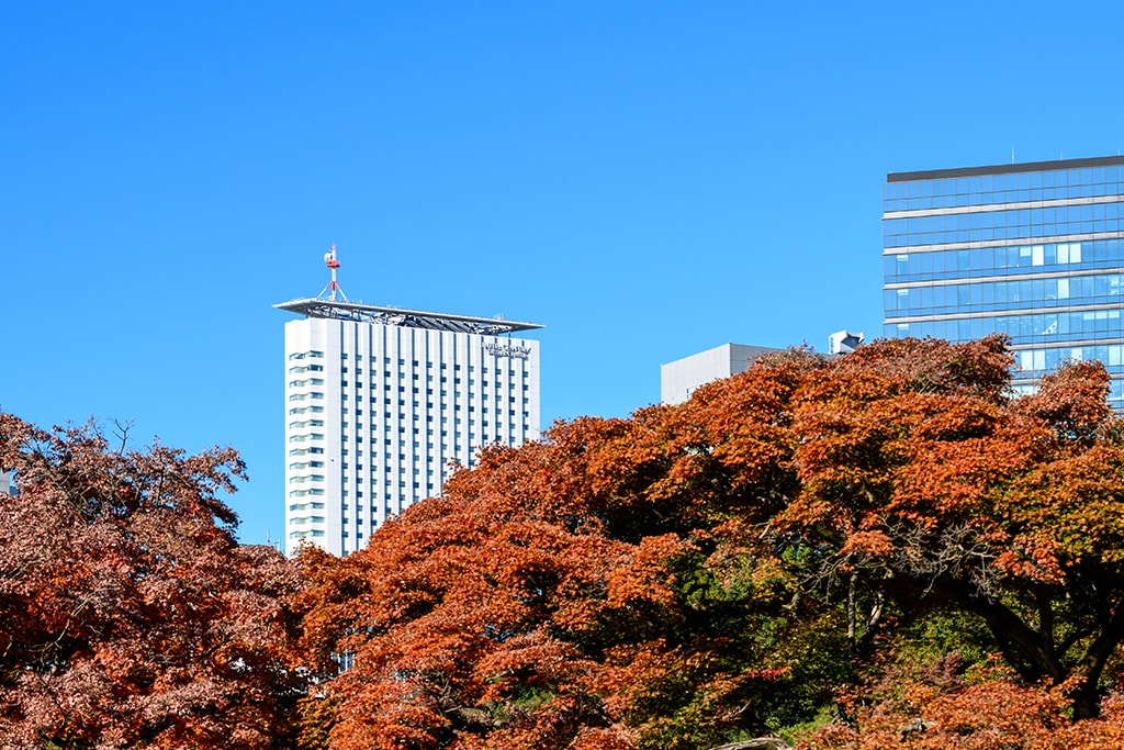 Hotel exterior as seen from Shinjuku Gyoen (autumn)