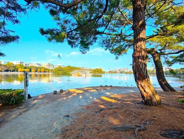 [Ohori Park] Have a happy moment with the scent of coffee while looking at the magnificent nature.