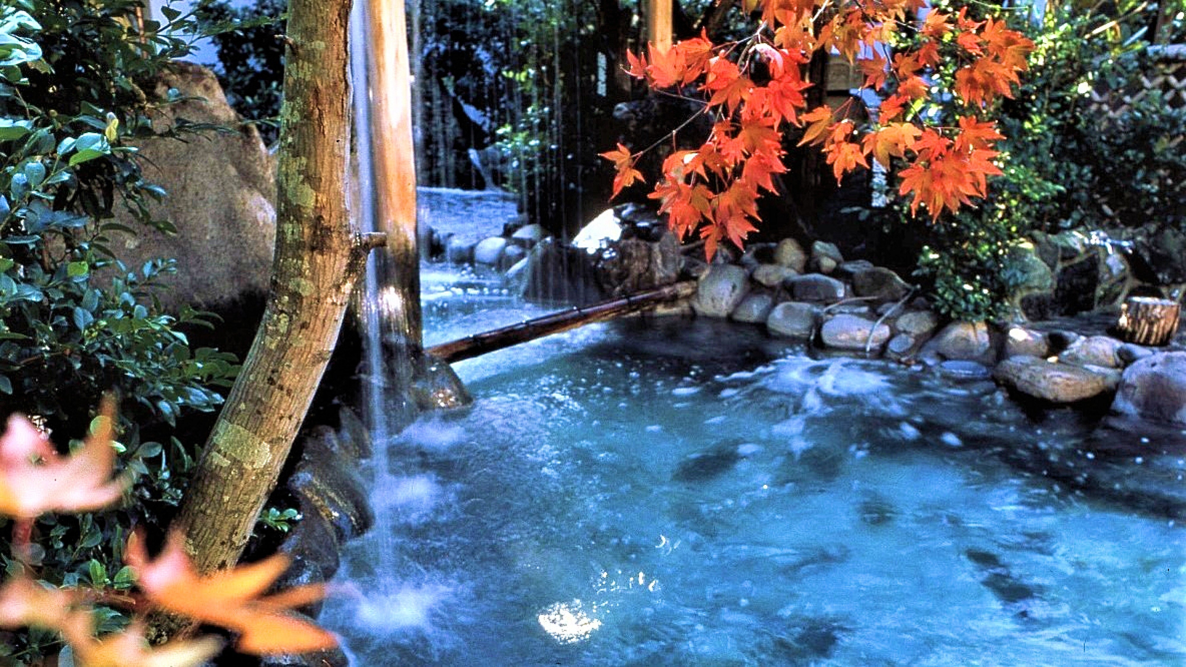 Autumn large communal bath The garden of the open-air bath is also colored