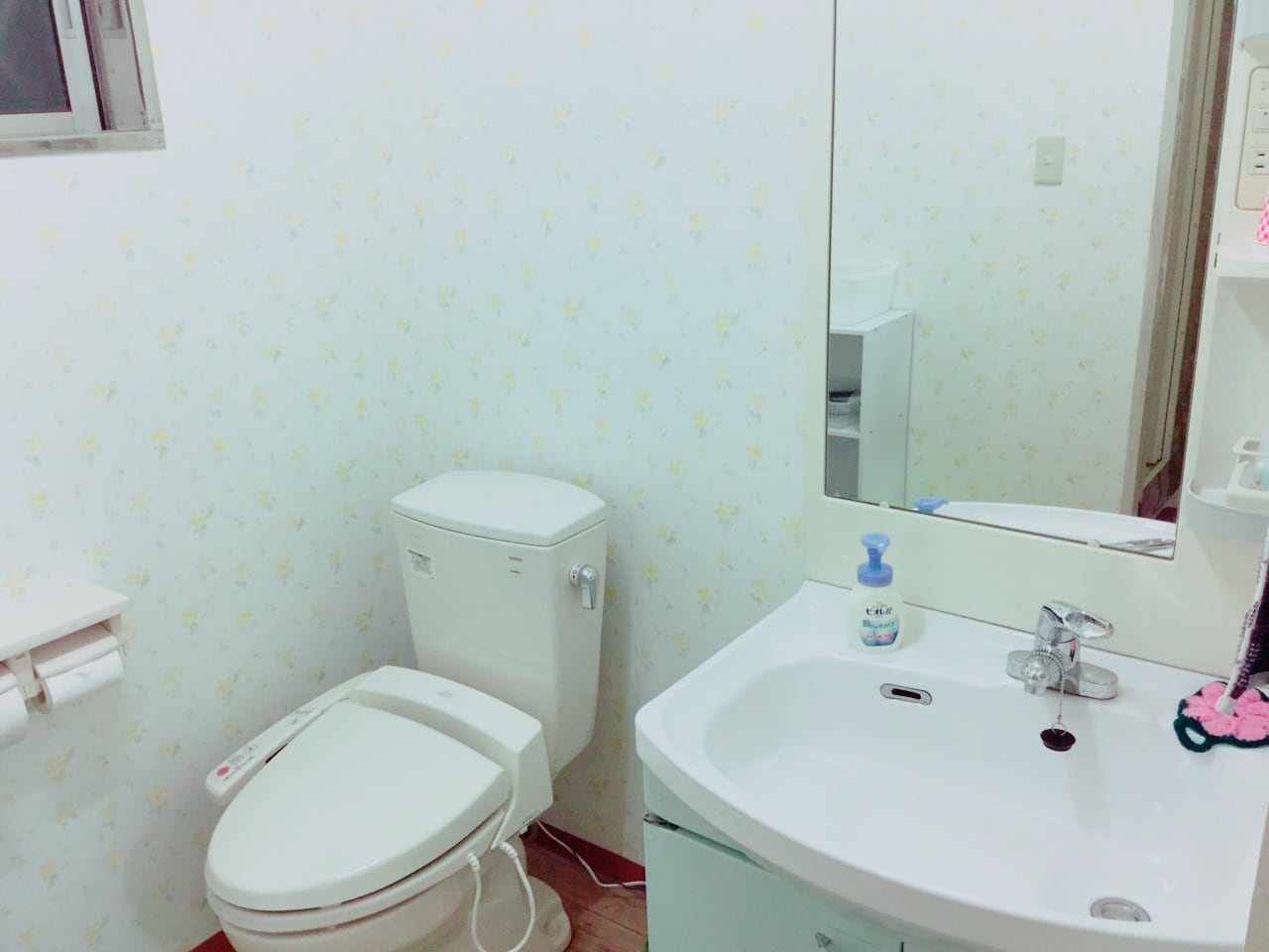 Twin family room toilet and washbasin