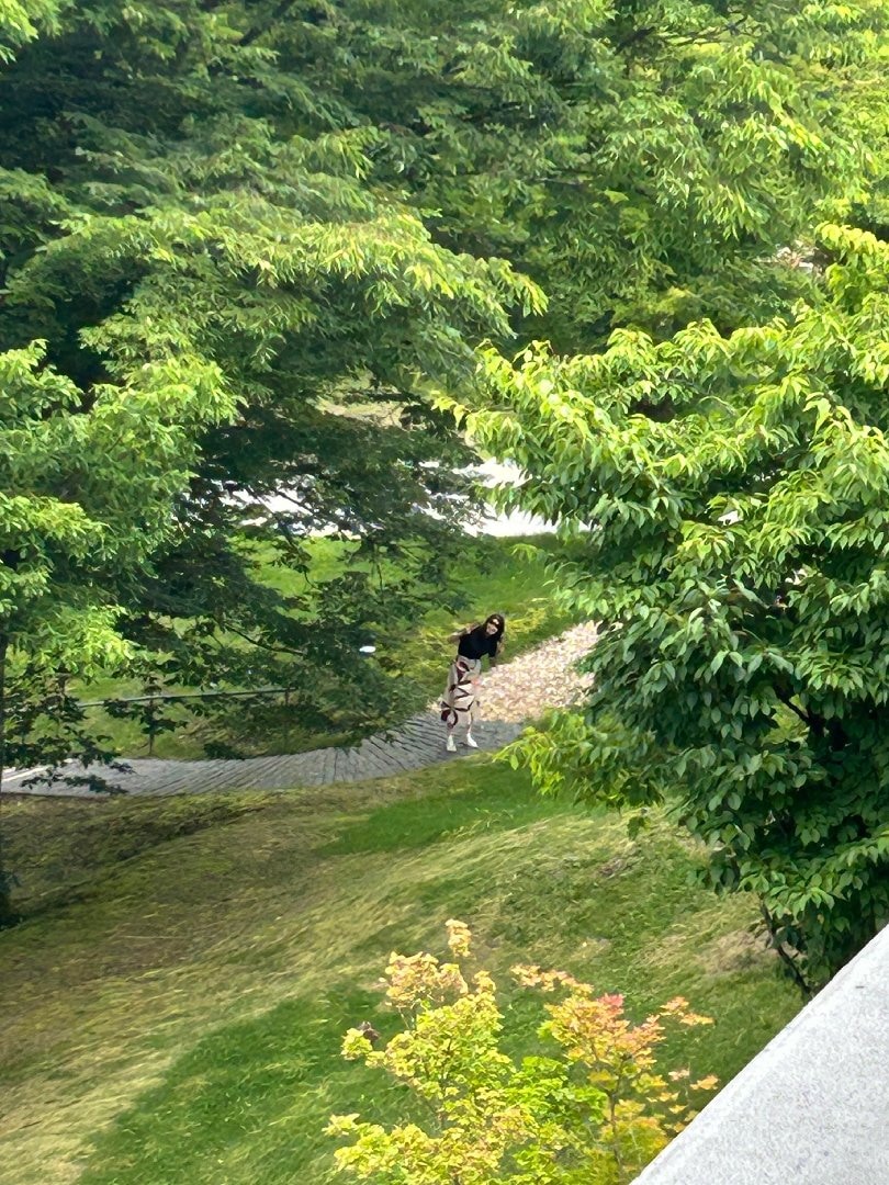 3EB0D923-CEA3-4488-8073-5DD47C8F1871.jpeg