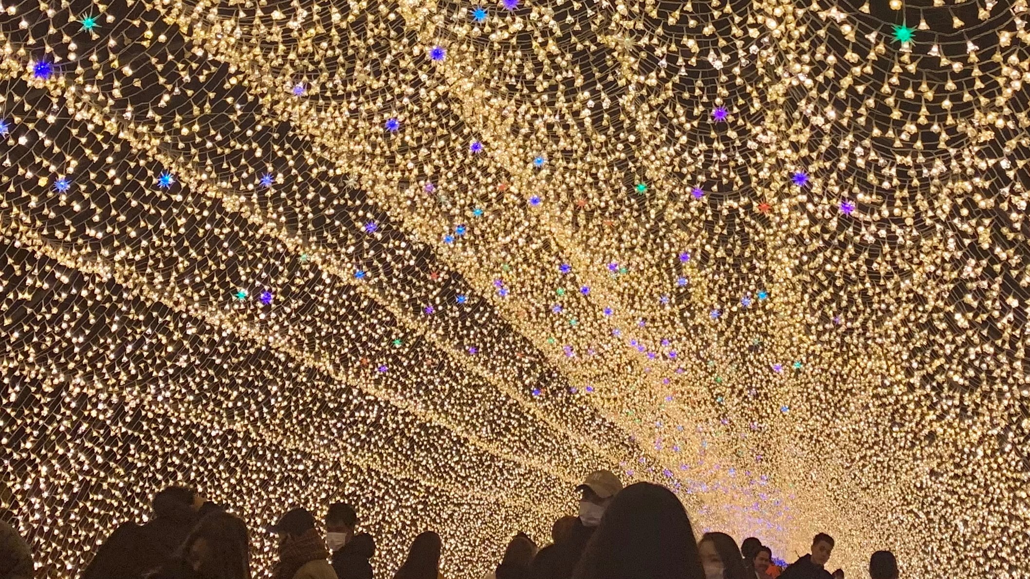 Nabana no Sato Illumination
