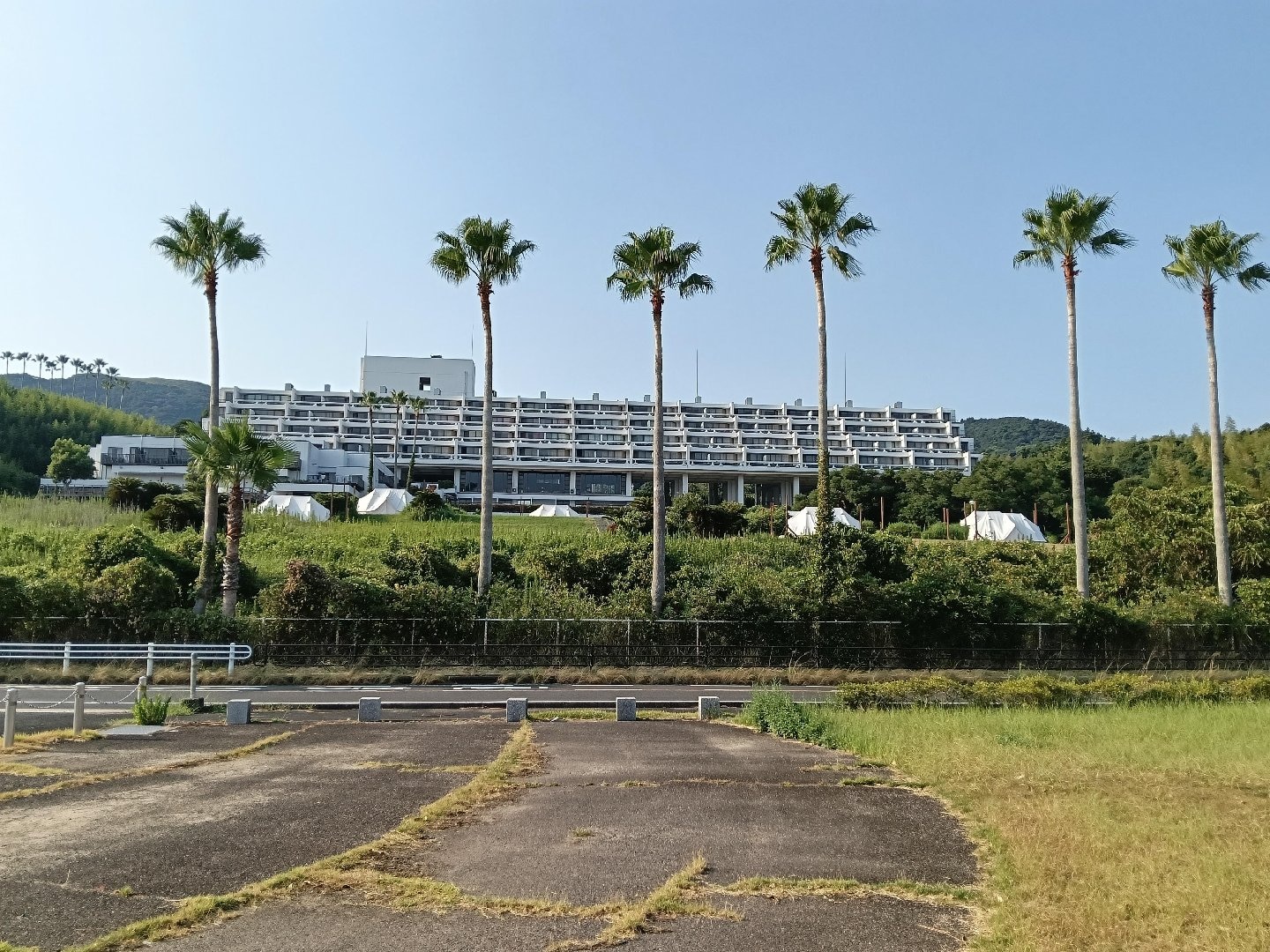 255.jpg