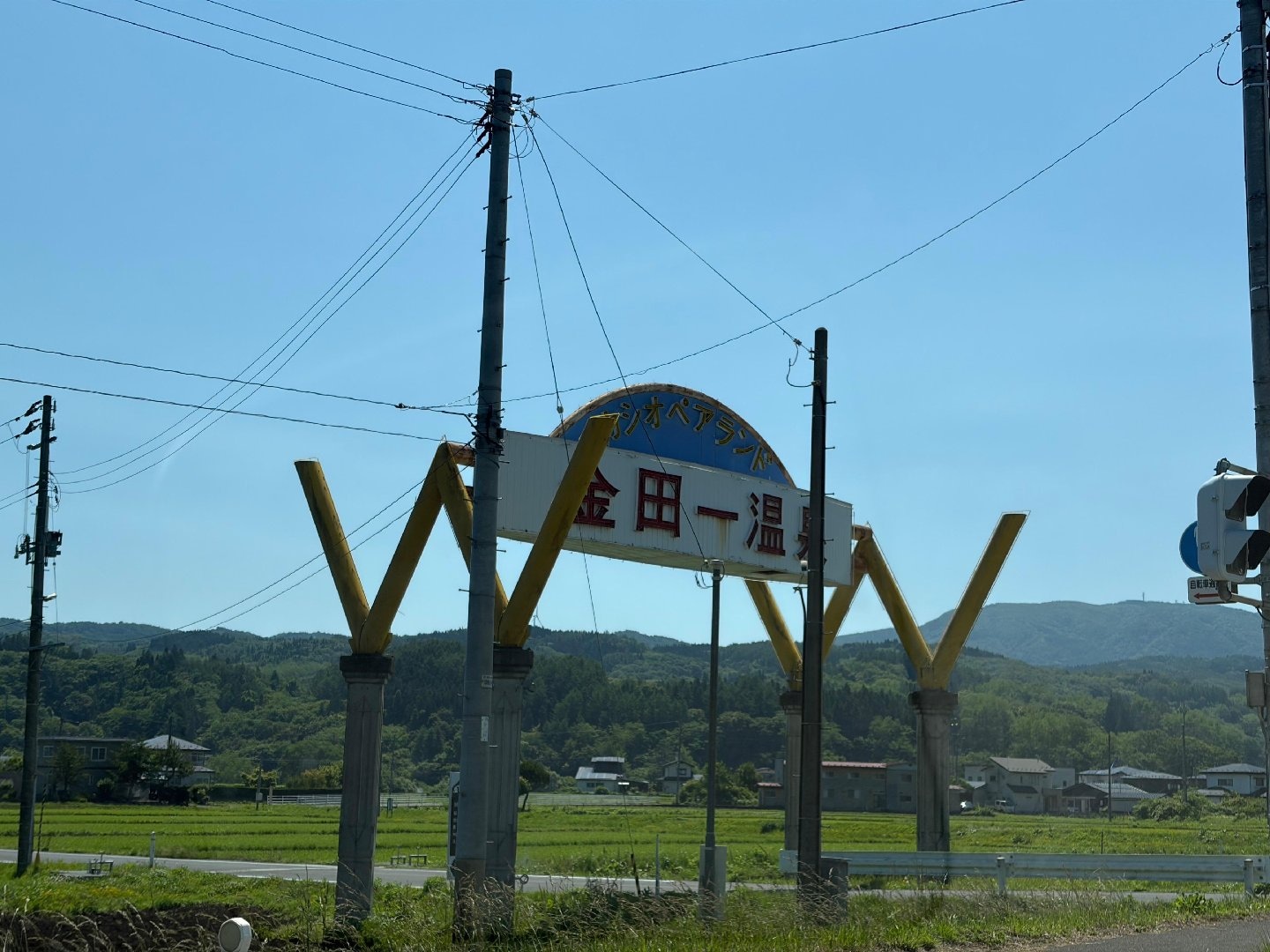 0033A2EA-C1C4-4907-8845-EC6DA5F8331C.jpeg