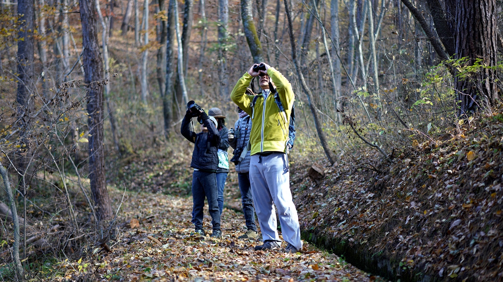 The forest with Hutte Lied is also suitable for observing wild birds.