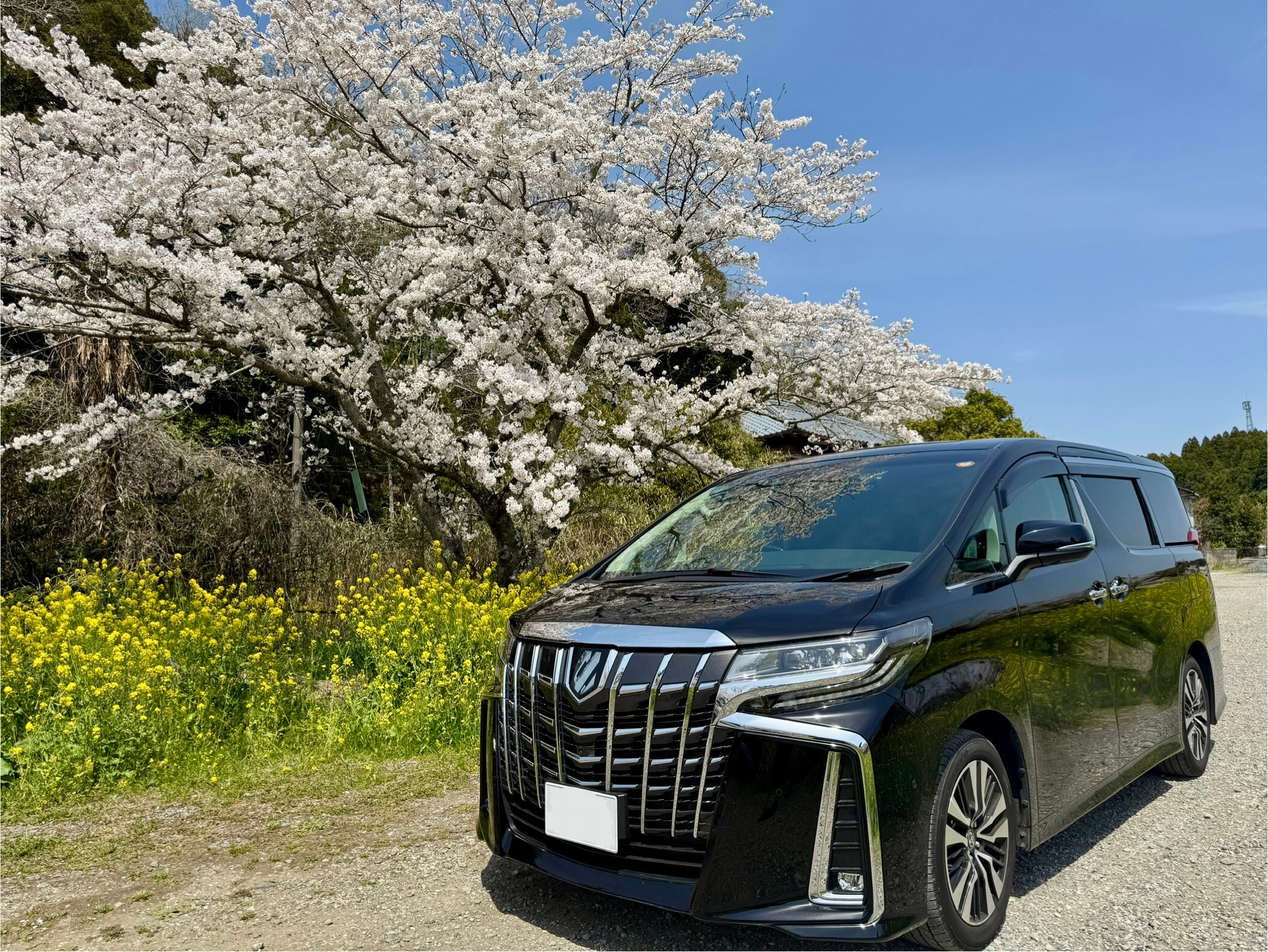 开着埃尔法在市原市原兜风！