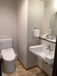 Superior Single Toilet