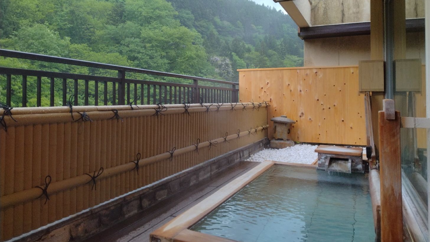 【頂樓】附有大露天浴池和室內浴池的雙床房（2名）