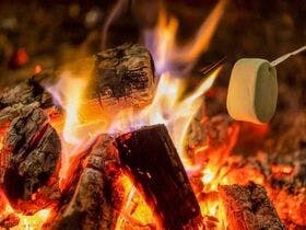 Bonfire Activities