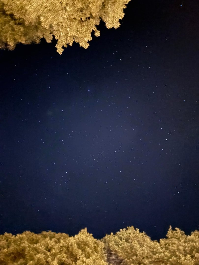 BE1EAD09-1EB2-4C91-AEE9-8133ACF40139.jpeg