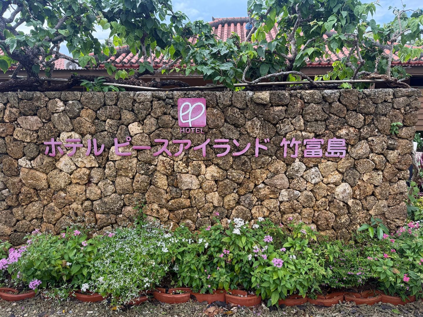 DDE500AA-189C-44DB-8082-77373C4D3BA5.jpeg