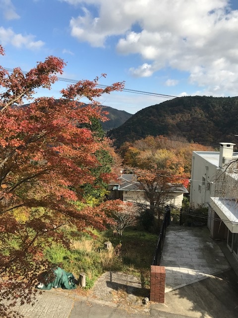 202 View from Japanese-style room (season of autumn leaves)