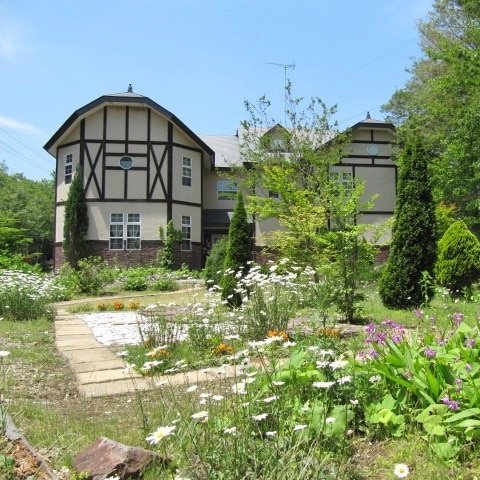 Appearance image
