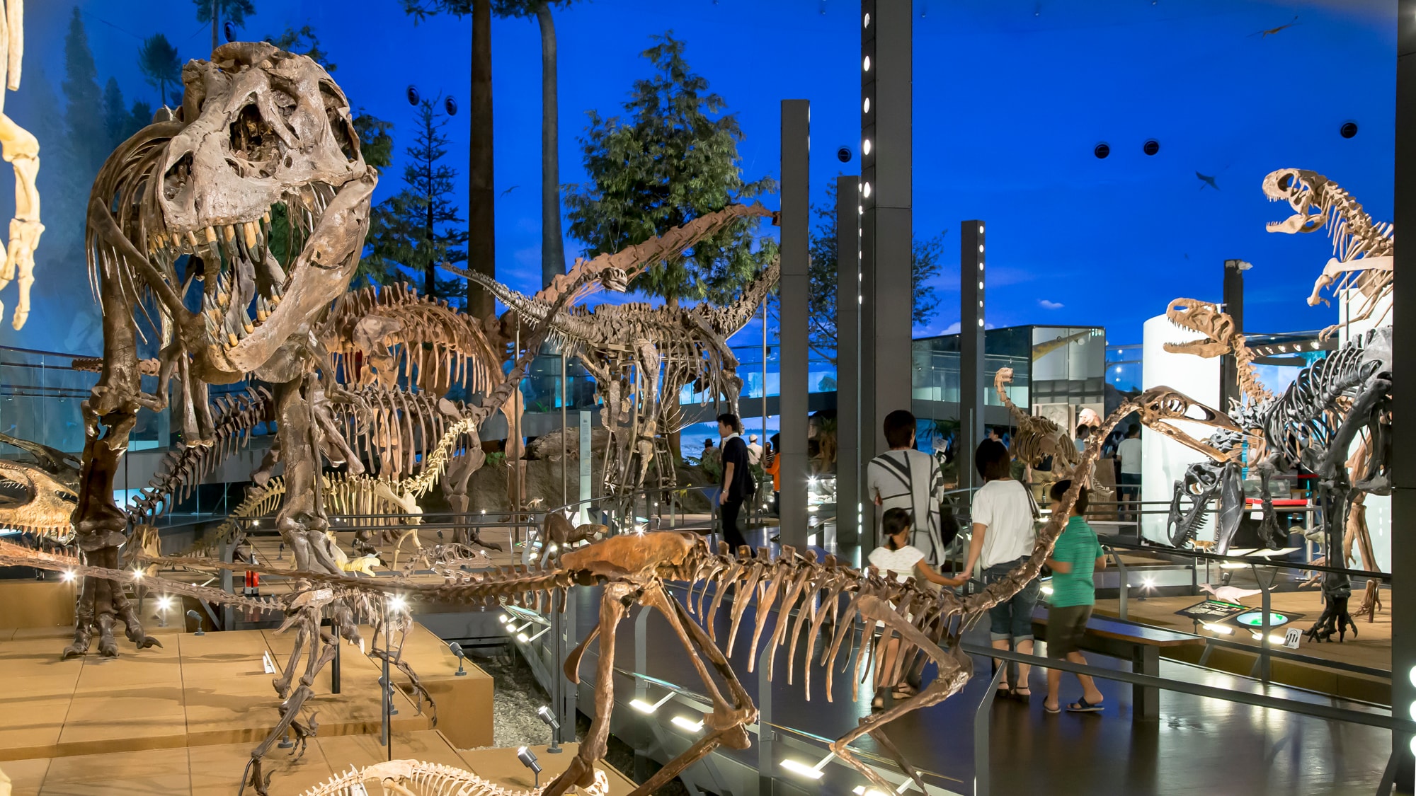 Dinosaur Museum