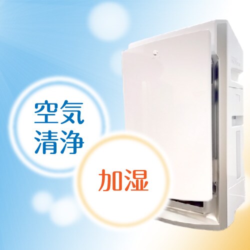 Air purifier with humidifier