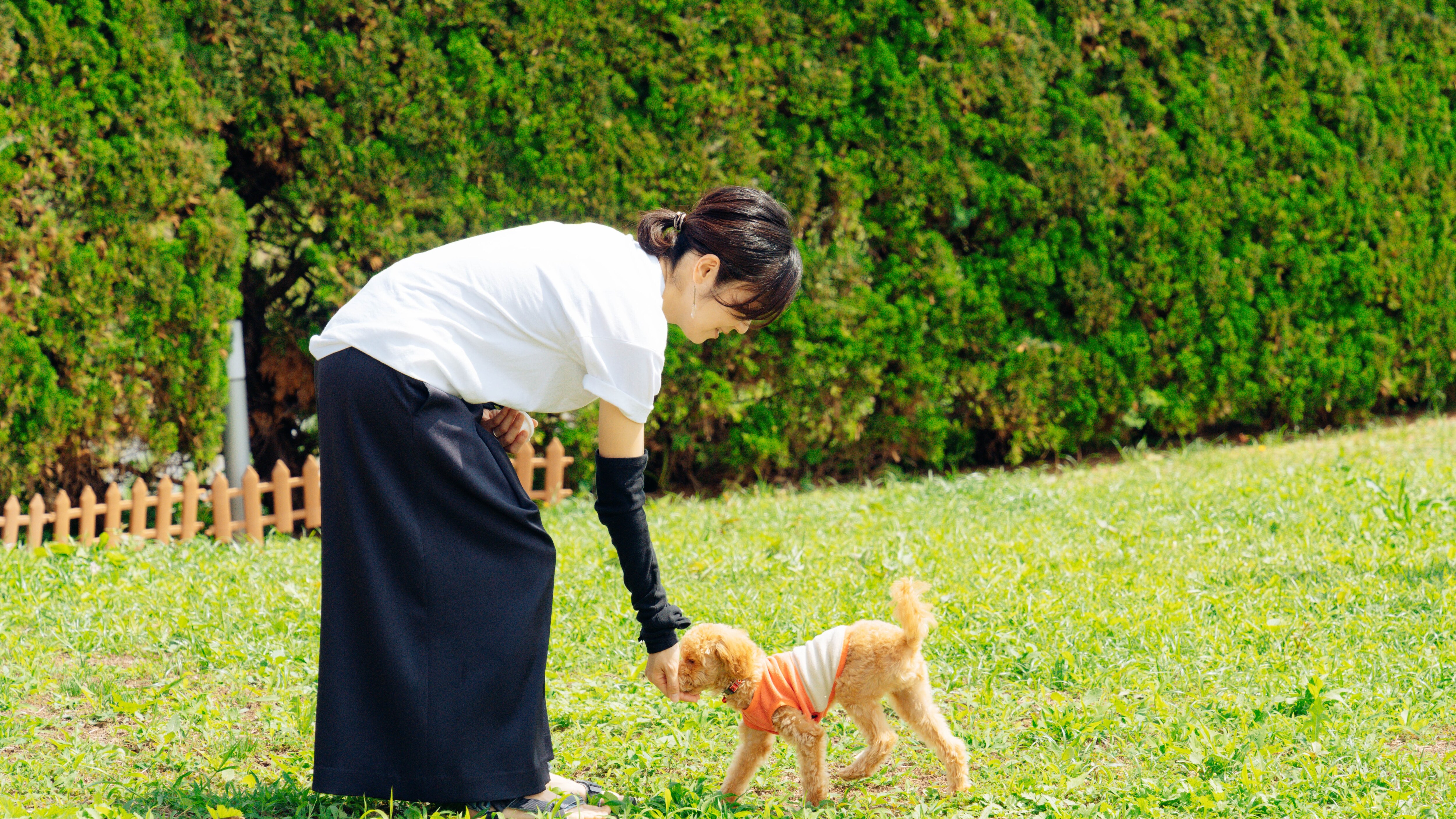 [Services] Dog run available!