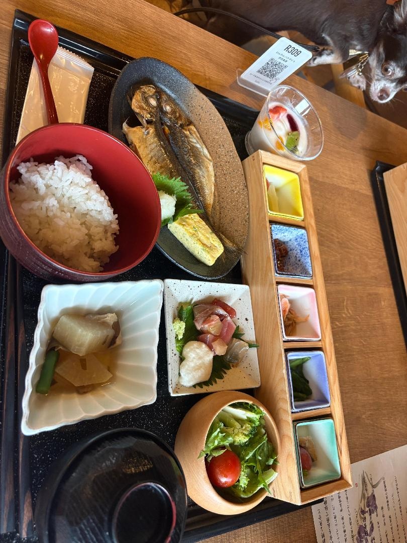 IMG_5823.jpeg