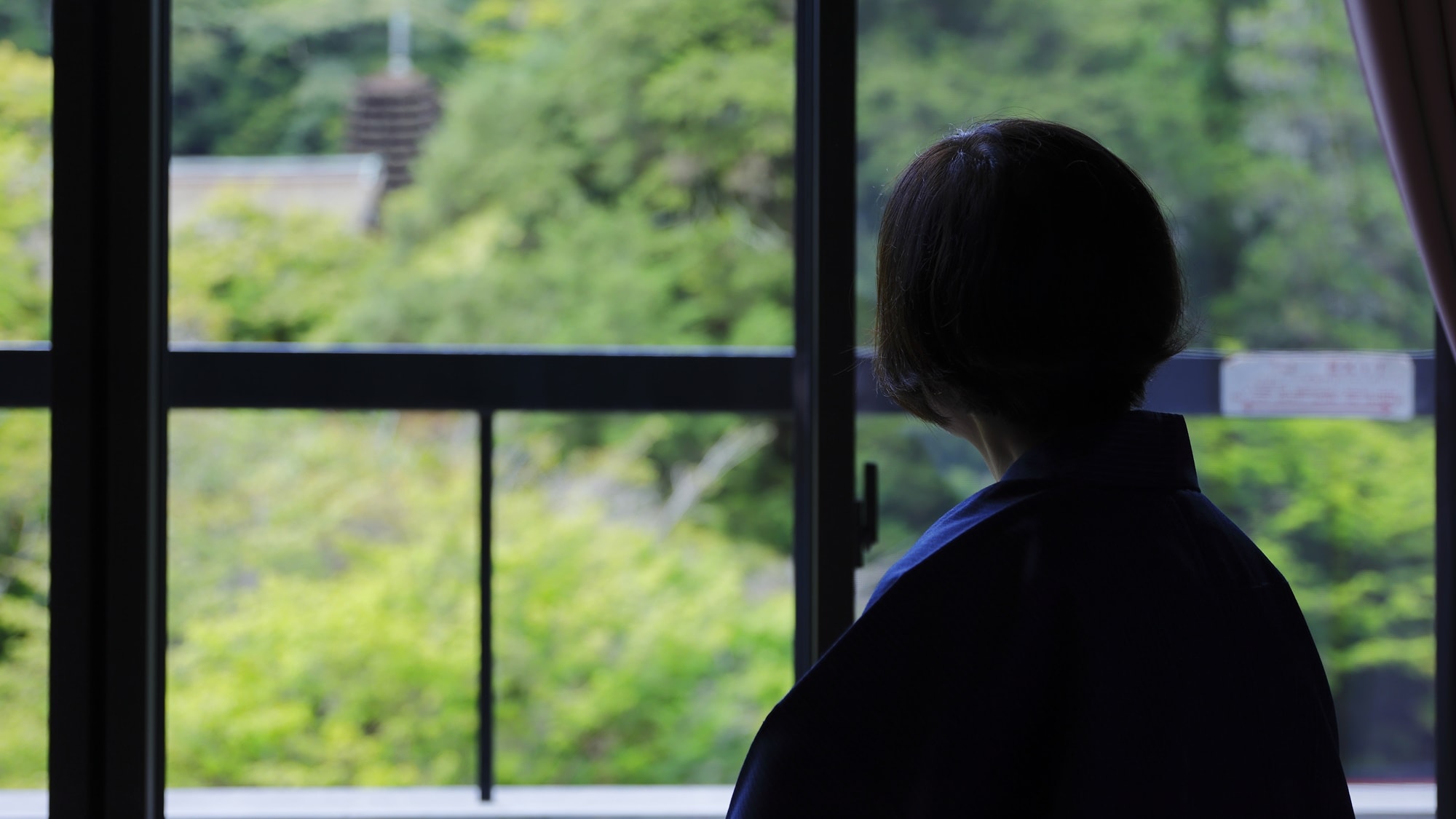 ★主樓客房景觀