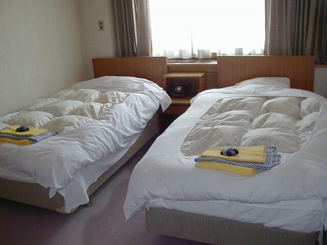 Western-style room