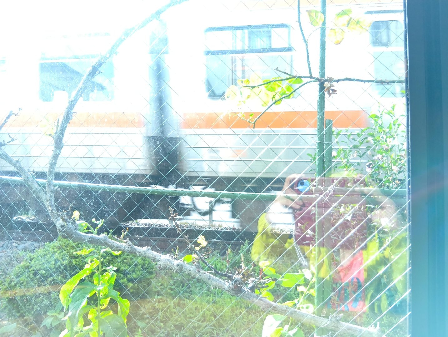 2789.jpg