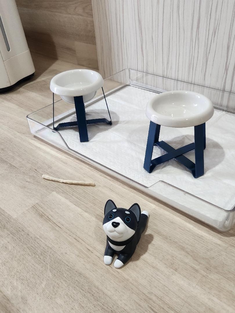 20260524_070004.jpg