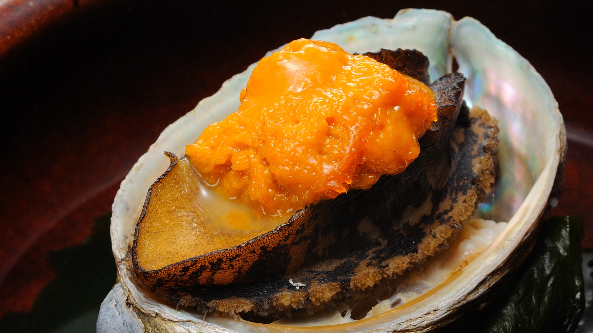 Abalone sea urchin
