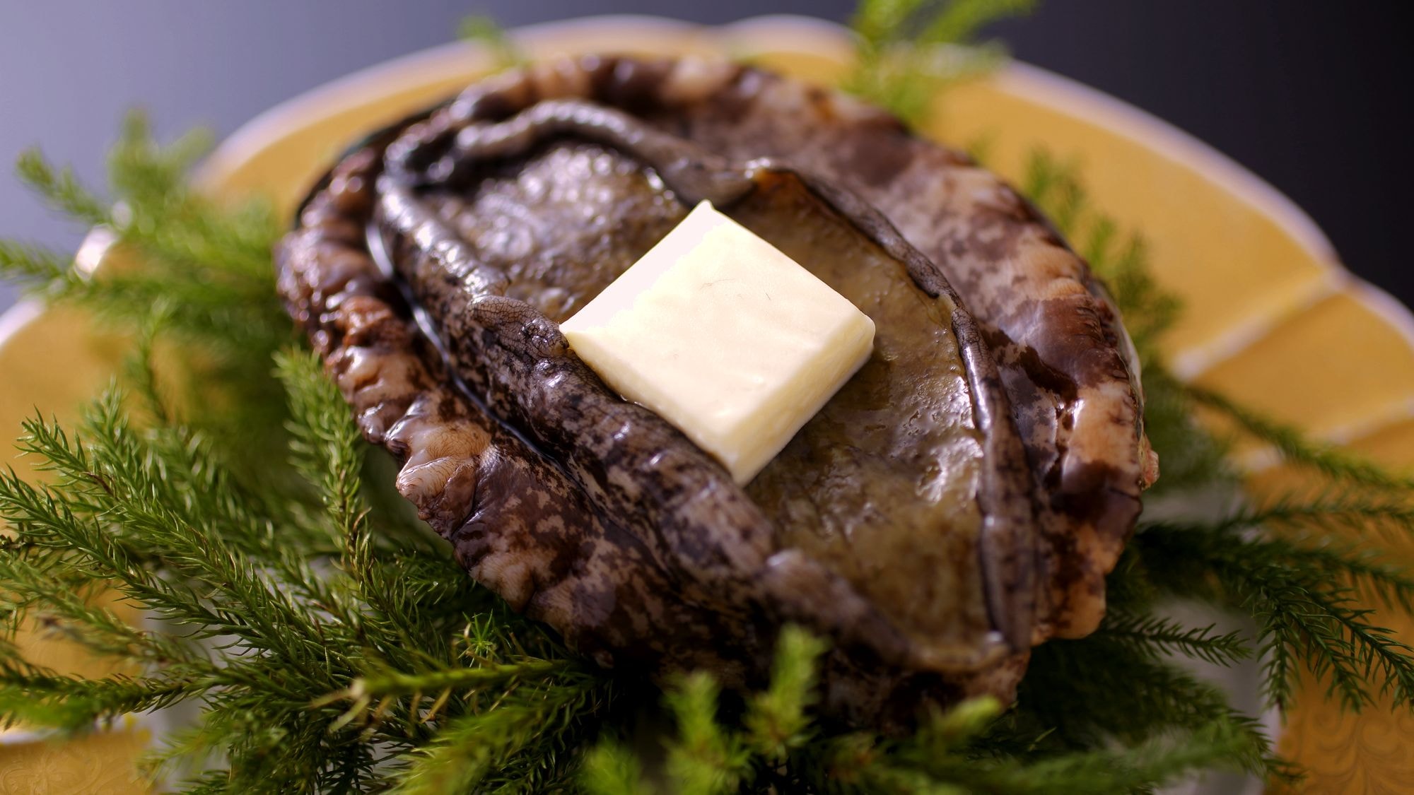 ★ Abalone dance grilled image