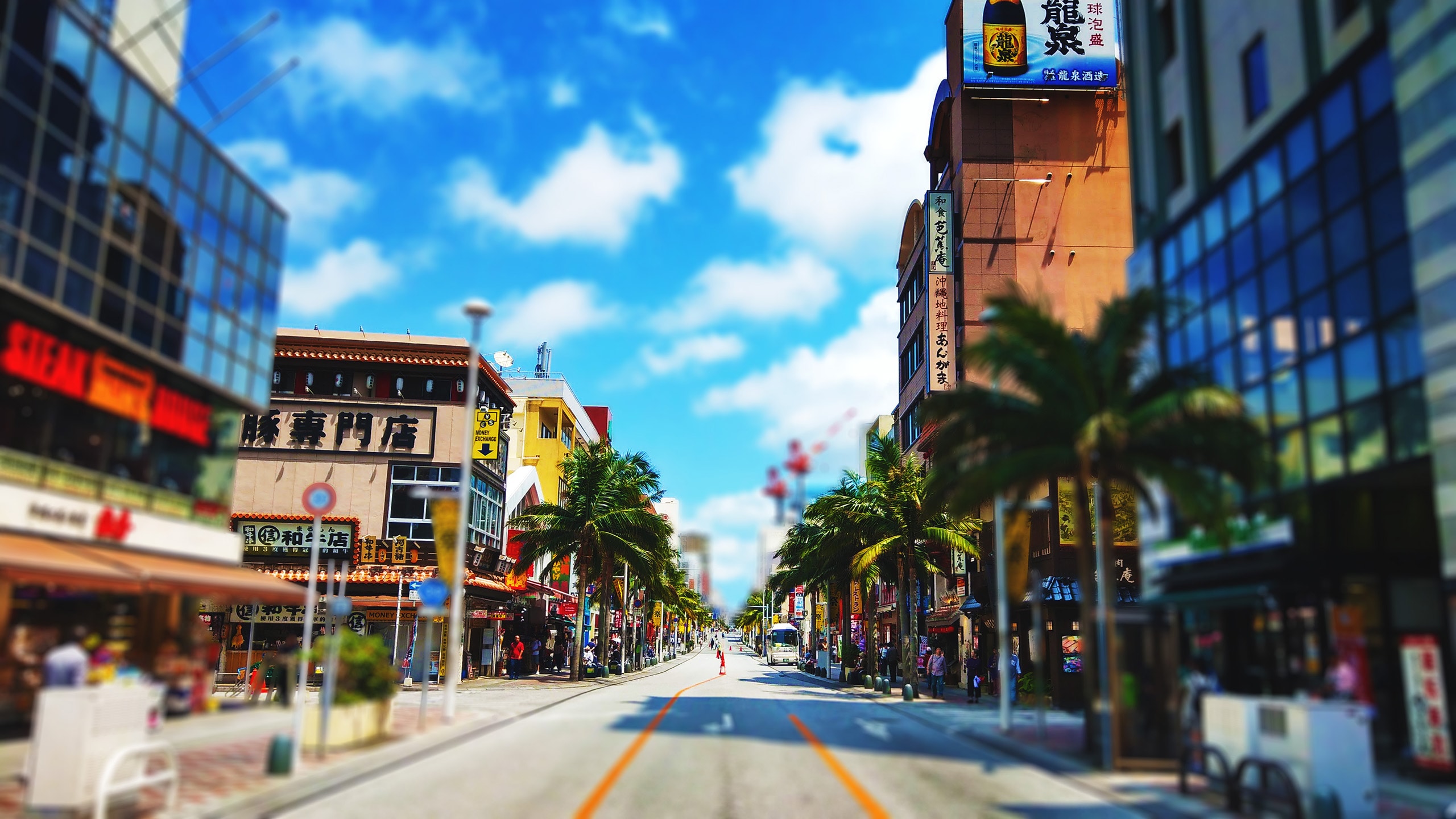 국제 거리