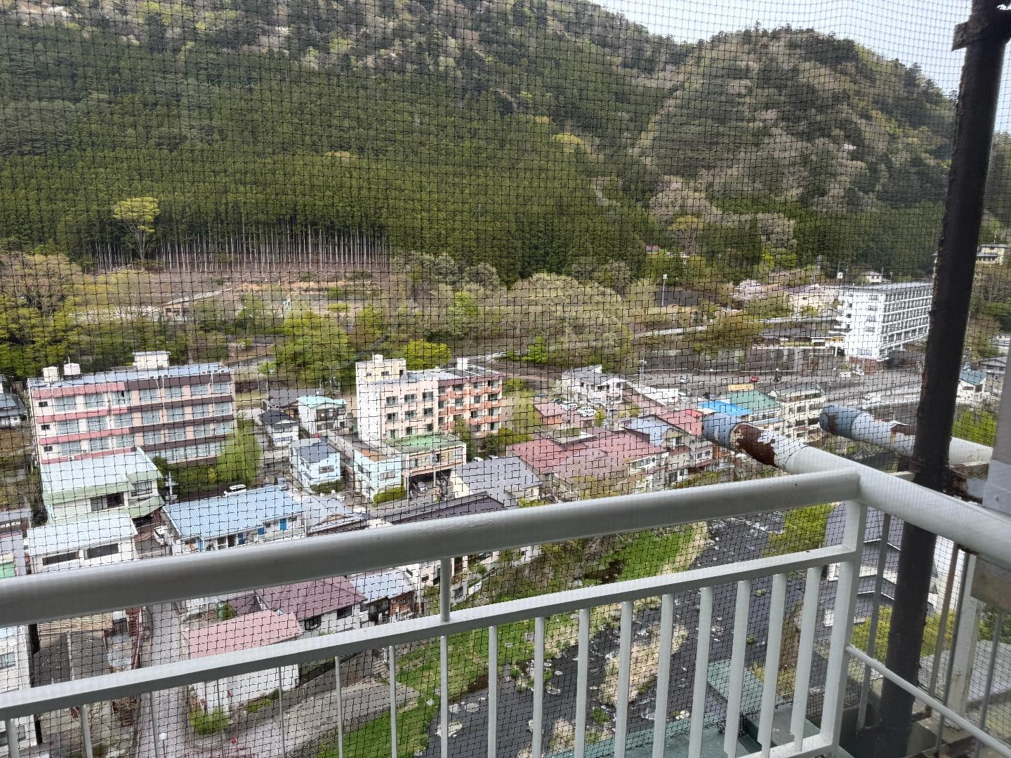 IMG_7606.jpeg