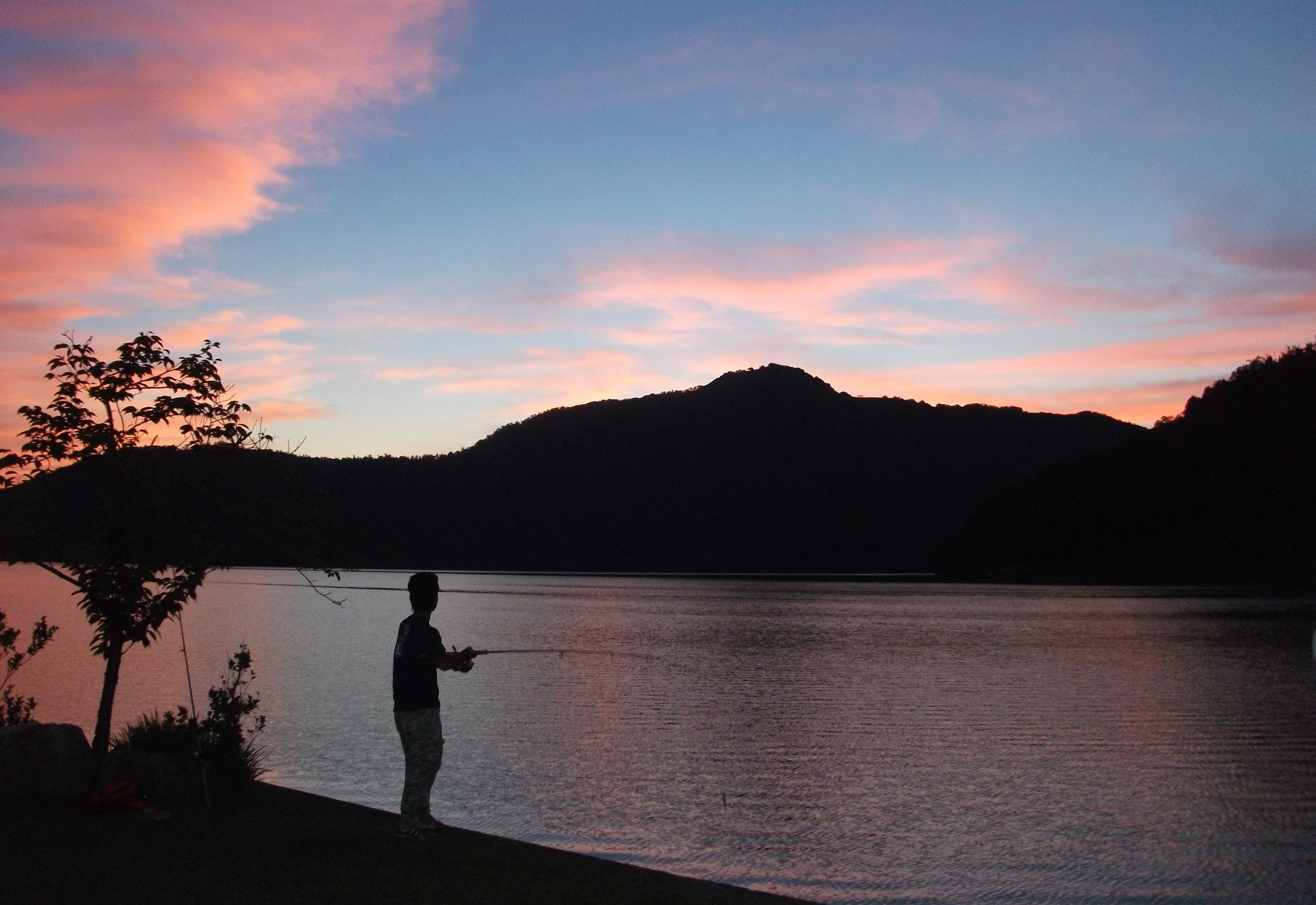 Angler