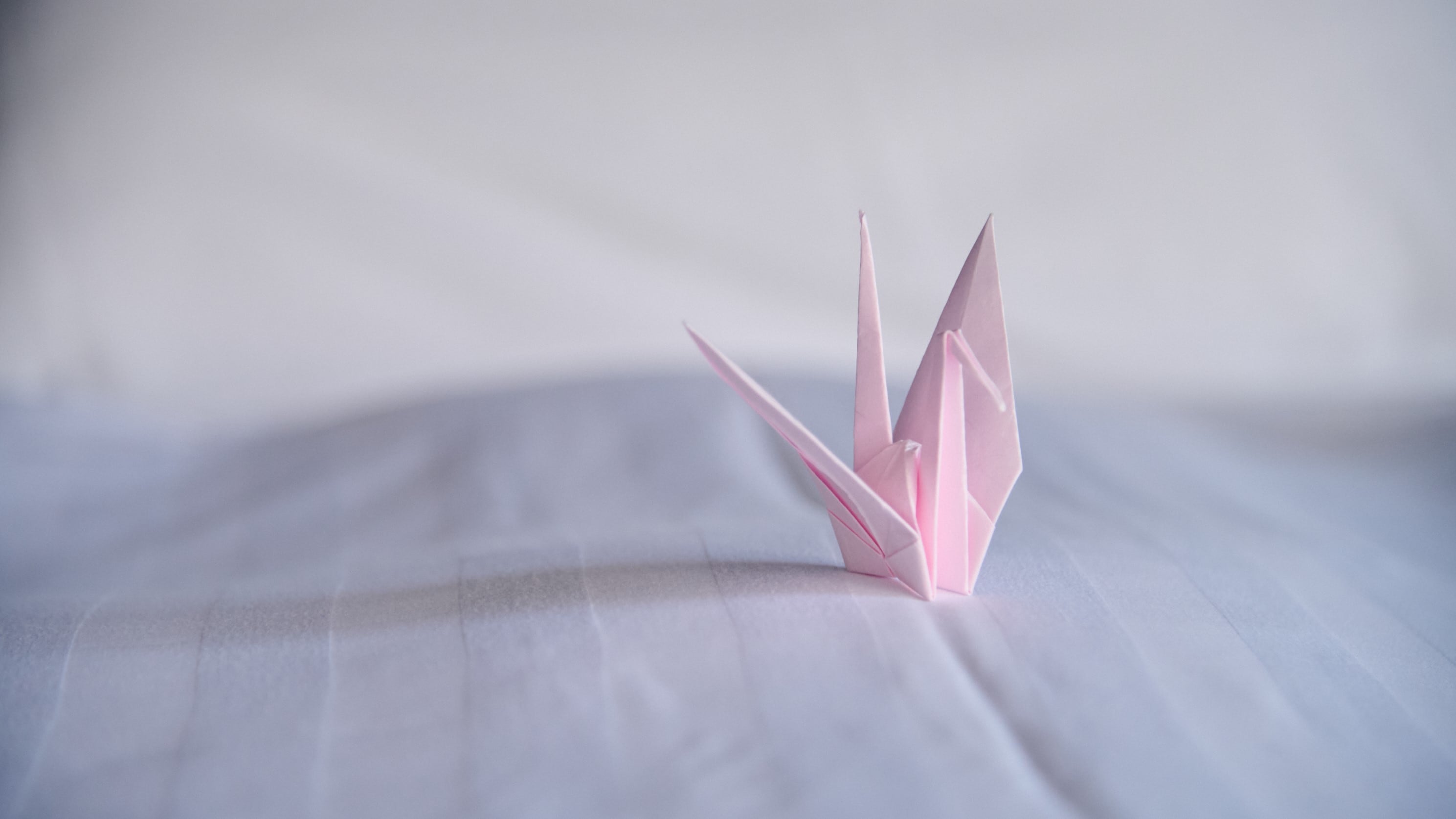 高级日西合璧客房“高翔”