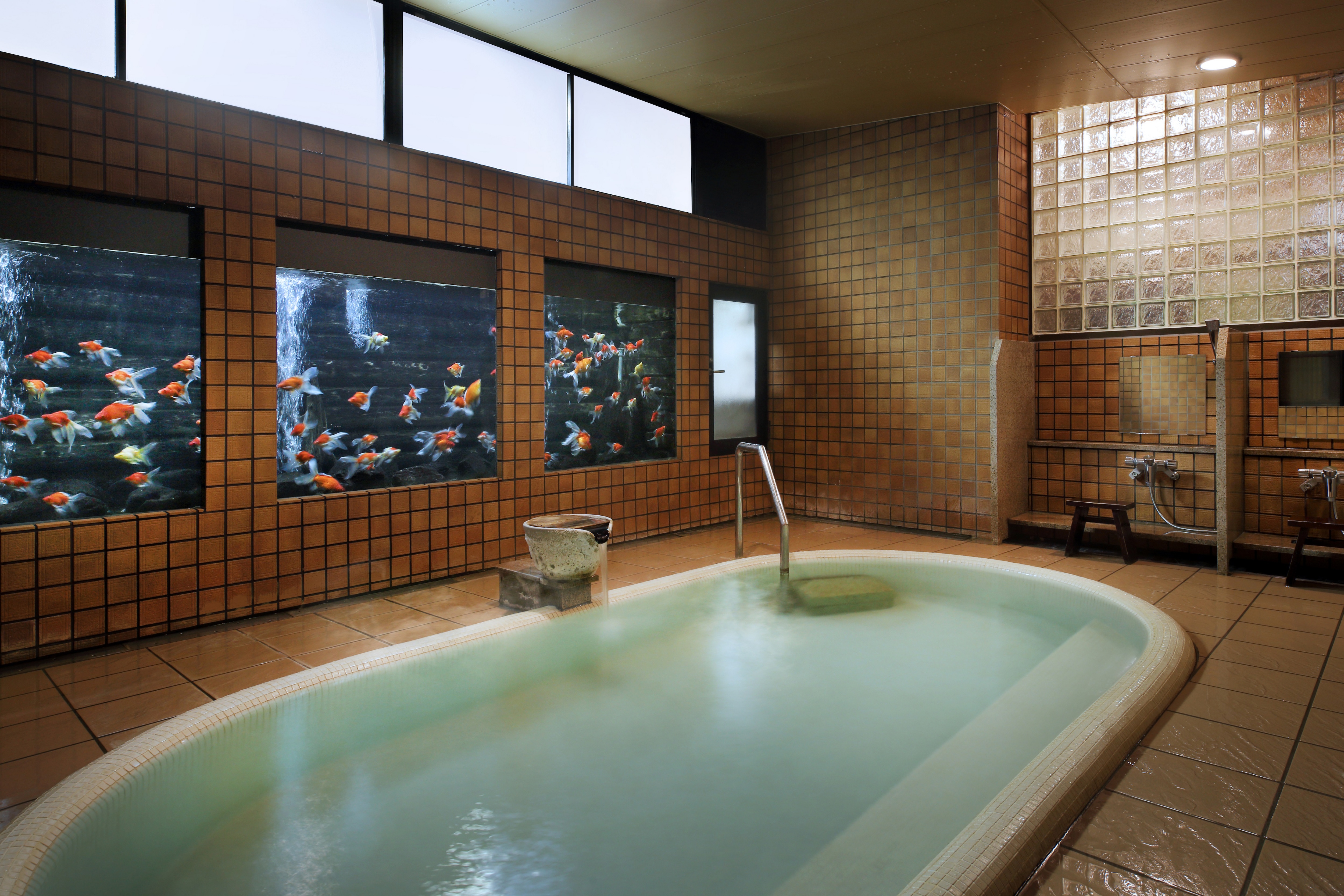 Nhà tắm công cộng lớn "Kawa no Yu" Tắm cá vàng